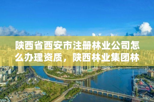 陕西省西安市注册林业公司怎么办理资质，陕西林业集团林业服务有限公司