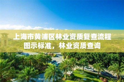 上海市黄浦区林业资质复查流程图示标准，林业资质查询