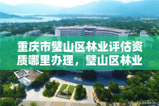 重庆市璧山区林业评估资质哪里办理，璧山区林业局电话