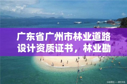 广东省广州市林业道路设计资质证书，林业勘测设计资质