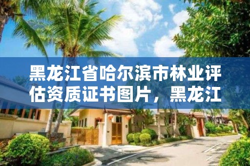 黑龙江省哈尔滨市林业评估资质证书图片，黑龙江省林地评估公司