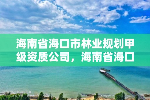 海南省海口市林业规划甲级资质公司,海南省海口市林业规划甲级资质公司有几家