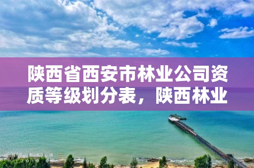 陕西省西安市林业公司资质等级划分表，陕西林业集团林业服务有限公司