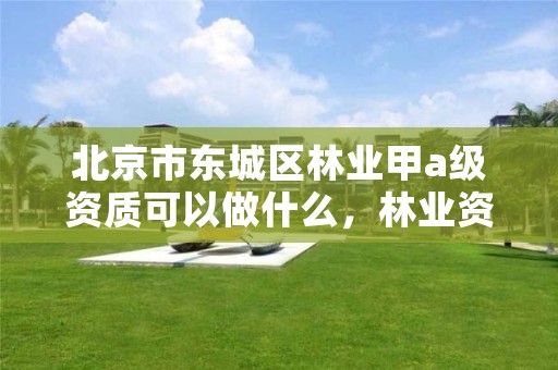 北京市东城区林业甲a级资质可以做什么，林业资质证书丙级