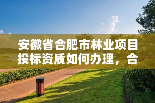 安徽省合肥市林业项目投标资质如何办理，合肥林业厅