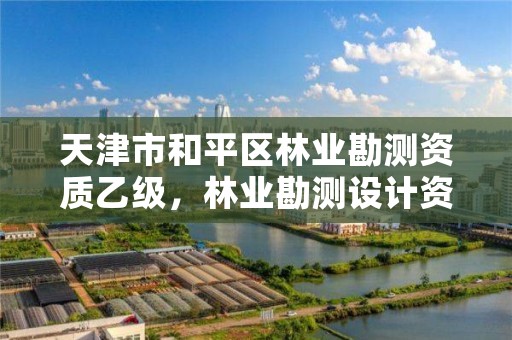 天津市和平区林业勘测资质乙级，林业勘测设计资质