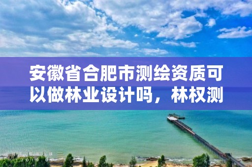 安徽省合肥市测绘资质可以做林业设计吗，林权测绘资质