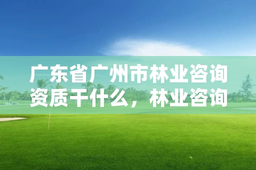 广东省广州市林业咨询资质干什么，林业咨询师报考条件