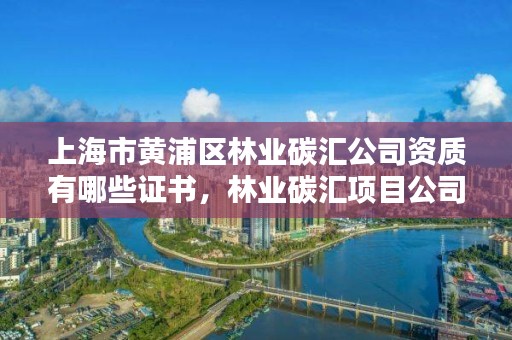 上海市黄浦区林业碳汇公司资质有哪些证书，林业碳汇项目公司