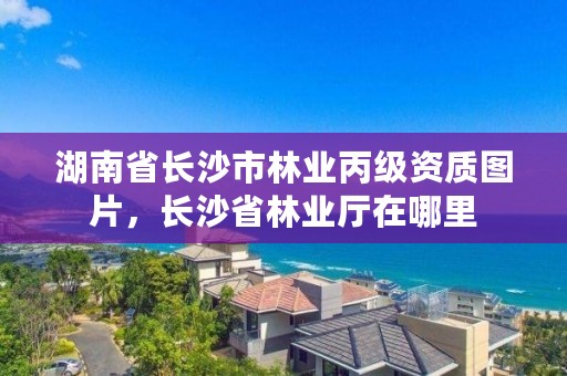 湖南省长沙市林业丙级资质图片，长沙省林业厅在哪里