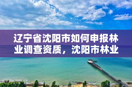 辽宁省沈阳市如何申报林业调查资质，沈阳市林业生态建设工作方案