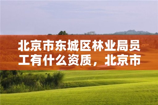 北京市东城区林业局员工有什么资质，北京市林业局工资待遇