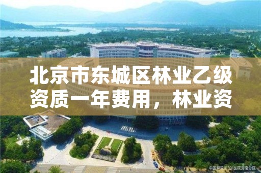 北京市东城区林业乙级资质一年费用，林业资质要求