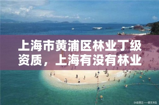上海市黄浦区林业丁级资质，上海有没有林业局