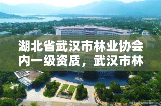 湖北省武汉市林业协会内一级资质，武汉市林业调查规划设计院有限公司