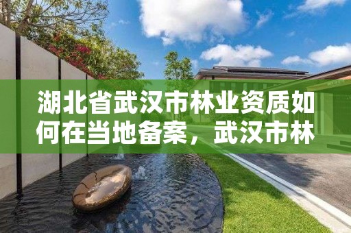 湖北省武汉市林业资质如何在当地备案，武汉市林业工作站位置