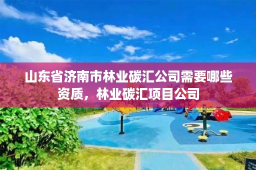 山东省济南市林业碳汇公司需要哪些资质，林业碳汇项目公司
