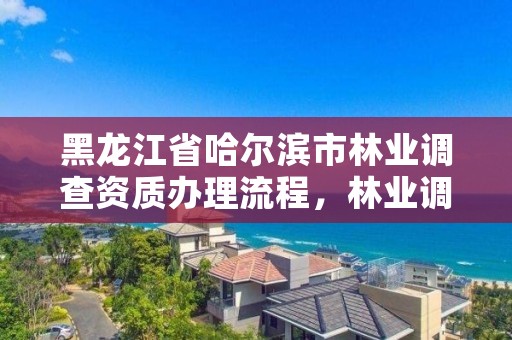黑龙江省哈尔滨市林业调查资质办理流程，林业调查资质代办