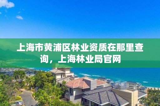 上海市黄浦区林业资质在那里查询，上海林业局官网