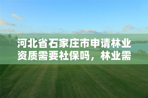 河北省石家庄市申请林业资质需要社保吗，林业需要什么证