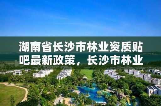湖南省长沙市林业资质贴吧最新政策，长沙市林业和草原局