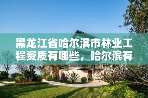 黑龙江省哈尔滨市林业工程资质有哪些，哈尔滨有几个林业局