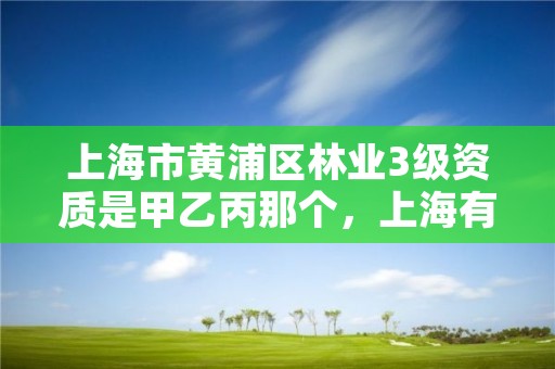 上海市黄浦区林业3级资质是甲乙丙那个，上海有没有林业局