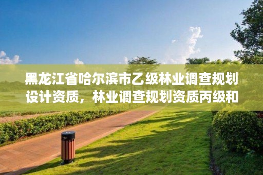 黑龙江省哈尔滨市乙级林业调查规划设计资质，林业调查规划资质丙级和乙级的区别