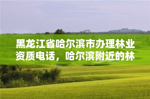 黑龙江省哈尔滨市办理林业资质电话，哈尔滨附近的林业局