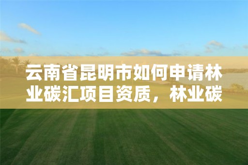 云南省昆明市如何申请林业碳汇项目资质，林业碳汇怎么认证