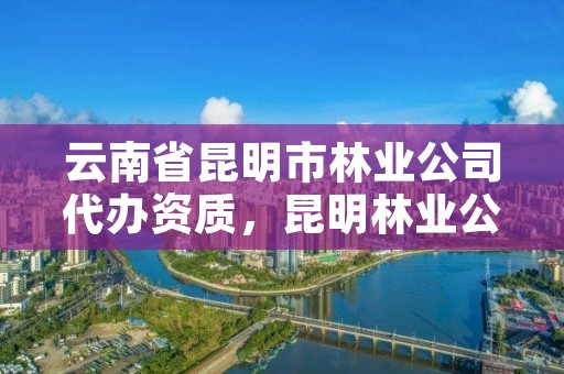 云南省昆明市林业公司代办资质，昆明林业公司有哪些