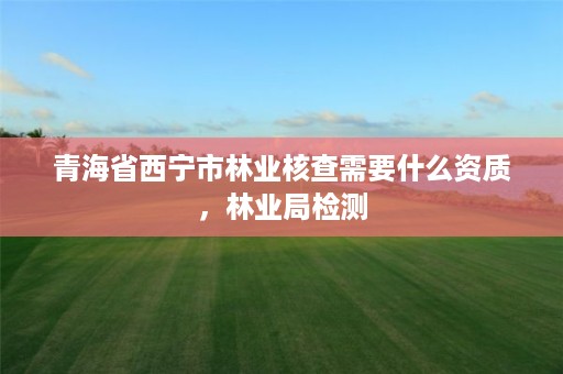 青海省西宁市林业核查需要什么资质，林业局检测