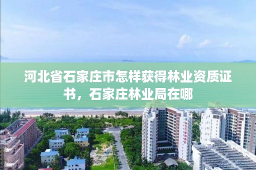 河北省石家庄市怎样获得林业资质证书，石家庄林业局在哪