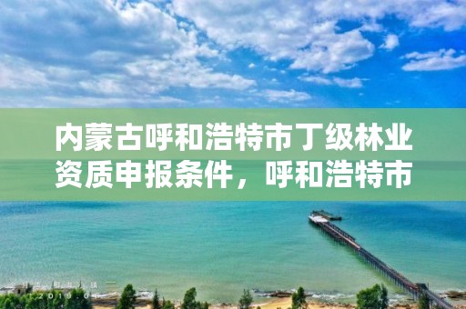 内蒙古呼和浩特市丁级林业资质申报条件，呼和浩特市园林局二级单位
