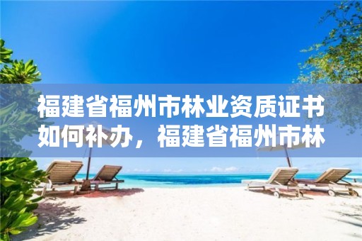 福建省福州市林业资质证书如何补办，福建省福州市林业资质证书如何补办的