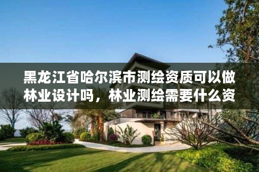 黑龙江省哈尔滨市测绘资质可以做林业设计吗，林业测绘需要什么资质