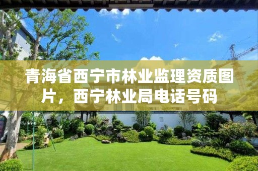 青海省西宁市林业监理资质图片，西宁林业局电话号码