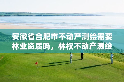 安徽省合肥市不动产测绘需要林业资质吗，林权不动产测绘收费标准