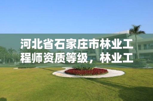 河北省石家庄市林业工程师资质等级，林业工程师资格证书