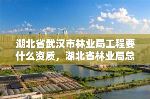 湖北省武汉市林业局工程要什么资质，湖北省林业局总工程师是什么级别