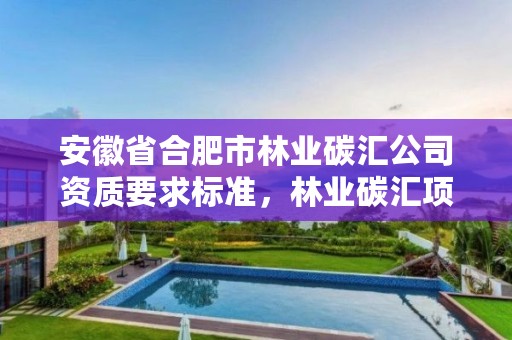 安徽省合肥市林业碳汇公司资质要求标准，林业碳汇项目是怎样设骗局的