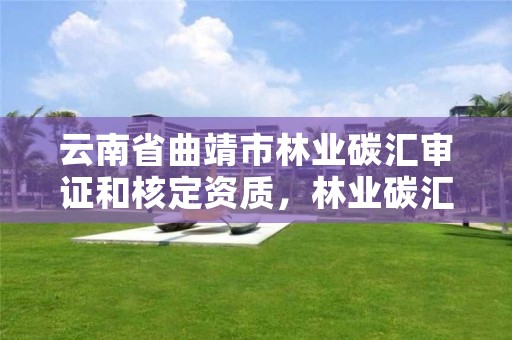 云南省曲靖市林业碳汇审证和核定资质，林业碳汇资源项目