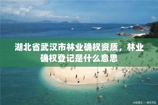 湖北省武汉市林业确权资质，林业确权登记是什么意思