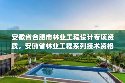 安徽省合肥市林业工程设计专项资质，安徽省林业工程系列技术资格评审标准条件