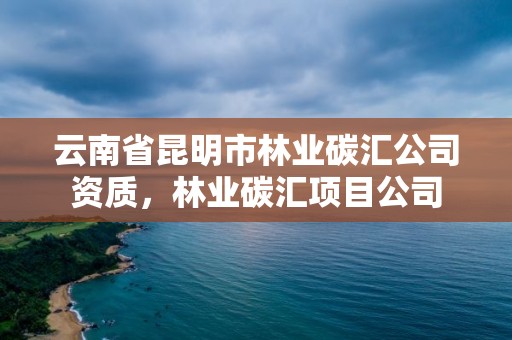 云南省昆明市林业碳汇公司资质，林业碳汇项目公司