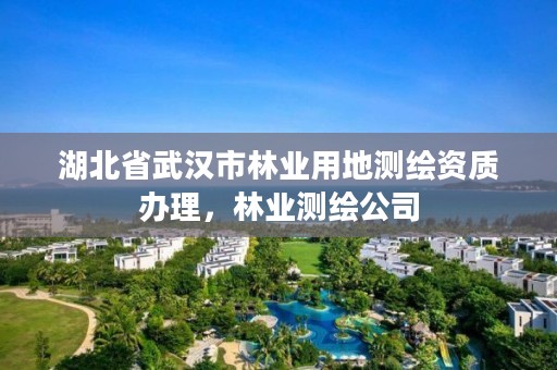 湖北省武汉市林业用地测绘资质办理，林业测绘公司