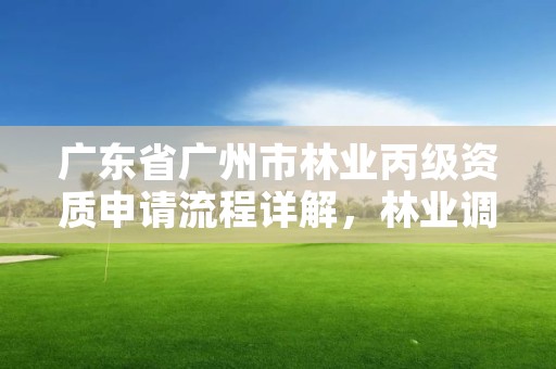 广东省广州市林业丙级资质申请流程详解，林业调查丙级资质转让