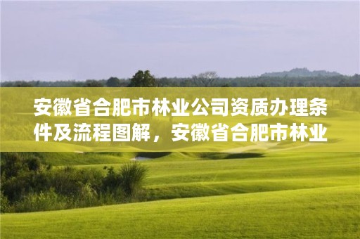 安徽省合肥市林业公司资质办理条件及流程图解，安徽省合肥市林业职业技术学校