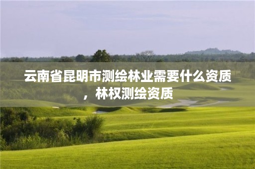云南省昆明市测绘林业需要什么资质，林权测绘资质