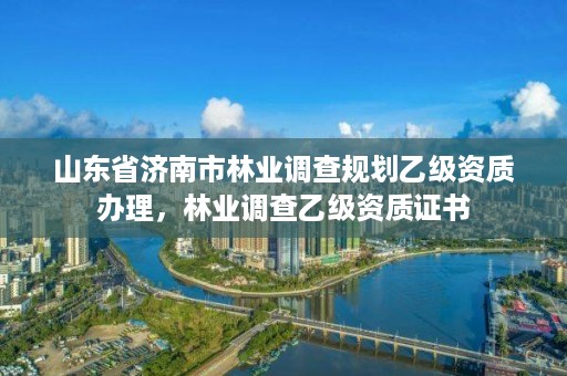 山东省济南市林业调查规划乙级资质办理，林业调查乙级资质证书